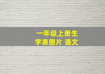 一年级上册生字表图片 语文